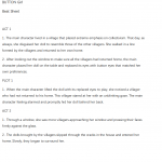 Principles of Character Animation Unit-The Button Girl Beats Sheet